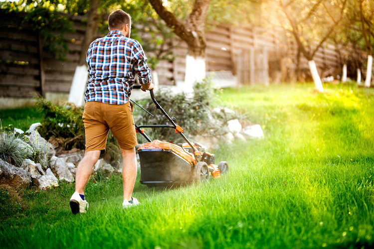 The Ultimate Spring Checklist for New Homeowners