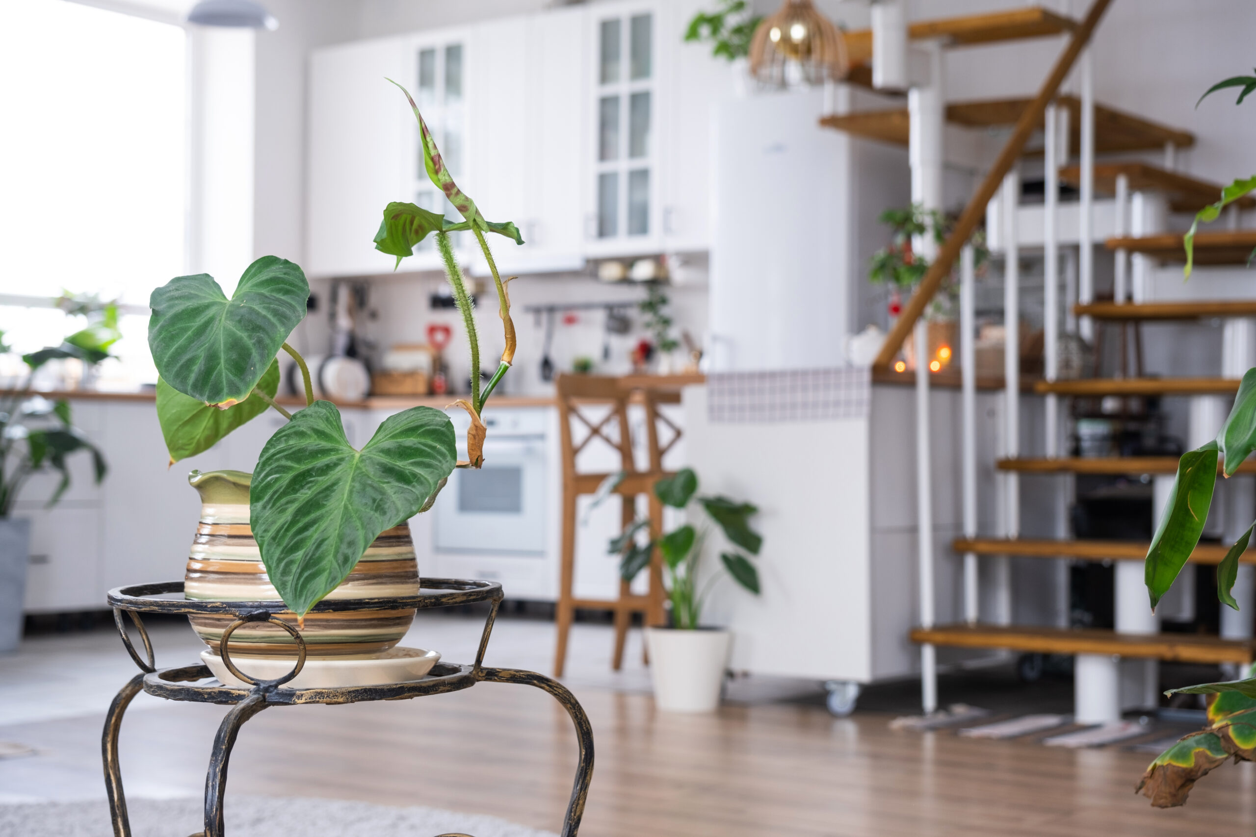 9 Simple Ways to Create a Healthier Home Environment